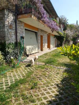 Villa/Villetta Imperia